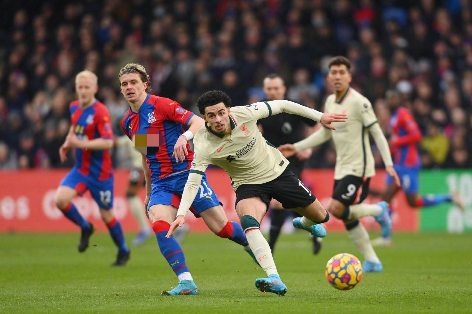 莱万的让步 莱万的让步