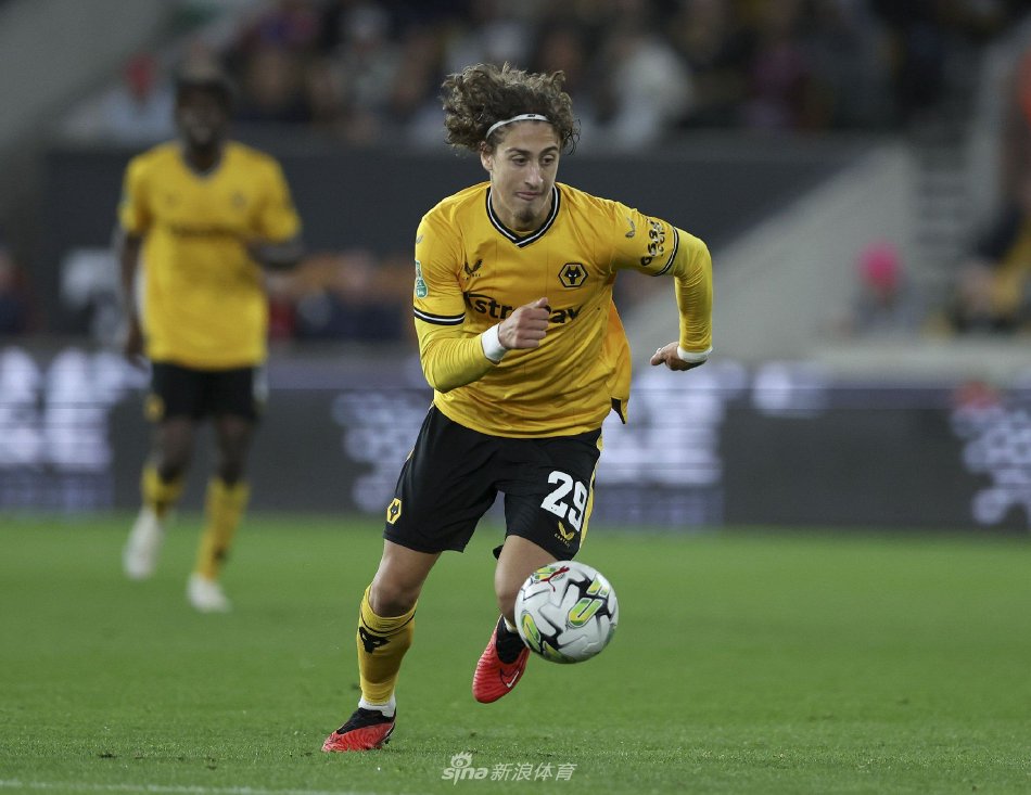 自法国图卢 自法国图卢